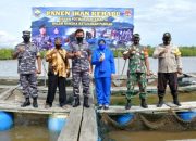 Lantamal IV Tanjungpinang Panen Raya Ikan Kerapu di Kampung Bugis