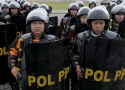 Honorer Dihapus, 90 Ribu Satpol PP Se- Indonesia Galau