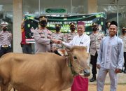 Kapolresta Tanjungpinang Serahkan 4 Ekor Sapi Untuk Hewan Qurban Masjid dan Pondok Pesantren
