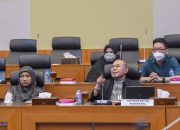 Senator Aceh Sebut Legalisasi Ganja untuk Medis Patut Dipertimbangkan
