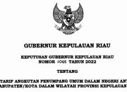 Gubernur Kepri Tetapkan Kenaikan Tarif Angkutan Umum Darat dan Transportasi Laut