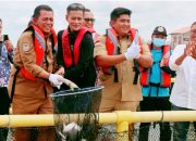 Ansar Ahmad dan Masyarakat Panen 10 Ton Ikan Bawal Bintang  di Bintan