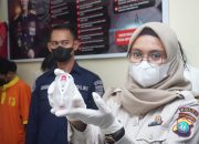 Polda Kepri Musnahkan Ratusan Kilo Barang Bukti Narkotika Hasil Tangkapan