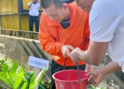 Revitisasi Median Jalan Bandara RHF Tahap I Selesai, Gubernur Ansar: Semoga Menjadi Ikon Kebanggaan Bersama