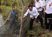 Gubernur Ansar Tanam Bibit Kelapa Genjah dan Panen Udang di Pulau Kundur