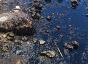 Ketua Pemuda Pancasila Kijang Minta Solusi Pemerintah Warga Terdampak Black Oil