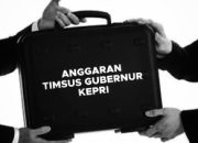 LSM Kodat86 Minta APH Usut Belasan Miliaran Honorarium Timsus Gubernur Kepri Tanpa Bukti Kinerja