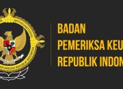 BPK Temukan Belasan Miliar Honorarium Timsus Gubernur Kepri Tak Disertai Bukti Kerja