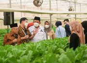 Wapres Tinjau Pusat Pertanian Modren Batam, Ma’ruf Amin: Manfaatkan Peluang Pasar Singapura