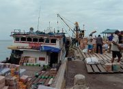 Harga Kebutuhan Pokok Meroket: Pengamat, Subsidi Biaya Transportasi Distributor