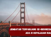 Dibangun 2024! Kepulauan Riau Bakal Miliki Jembatan Terpanjang se-Indonesia, Panjangnya Sampai 14,74 Kilometer
