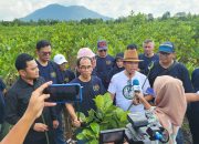 Pengurus PWI Kepri Gandeng Komunitas Pecinta Mangrove Tanam 50 Ribu Batang Pohon