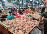 Sehari Jelang Ramadhan 1445 H, Harga Daging Ayam Potong Naik Signifikan