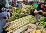 Jelang Lebaran Idul Fitri 1445 H/2024, Masyarakat Mulai Berburu Janur Kelapa