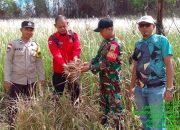 Antisipasi Karhutla, TNI Polri dan Kementerian Lingkungan Hidup Patroli Terpadu