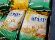 Beras Merk SPHP Bulog Mulai Melambung, Arief Alhadihaq: Harga Beras Tingkat Petani Mengalami Kenaikan
