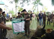 Kejati Kepri Teguh Subroto Serahkan 6 Ekor Sapi Pada Panitia Qurban Masjid Shafwan