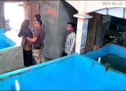 Kelompok Budidaya Ikan Risau Akibat Ulah Oknum Pejabat Bintan Abaikan SOP Karantina
