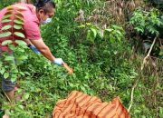 Heboh! Warga Kijang Kota Temukan Mayat Pria Disemak Belukar