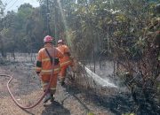Dalam Sehari Tanjungpinang Alami  5 Kali Karthutla, Dekat Pemukiman Warga