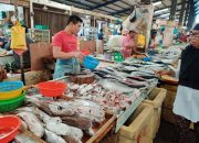 Harga Ikan Pasar Bincen Mulai Stabil, Daya Beli Kosumen Justeru Menurun