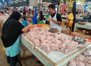 Harga Ayam Melangit, Pedagang Pasar Bintan Centre Sebut Ada Monopoli