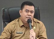 Kuota Sangat Terbatas, Pemkab Bintan Buka Lowongan CPNS Hanya 46 Formasi