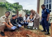 Ancam Ekosistem Ikan, BKHIT Kepri Musnahkan Puluhan Ikan Invasif