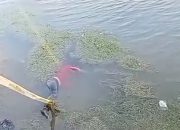Warga Temukan Jasad Perempuan Mengapung di Tepian Waduk Gesek, Bintan 