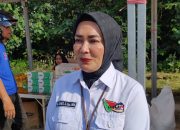 Disdagin Intervensi Harga Daging ayam, Pastikan Tetap Normal Hingga Nataru