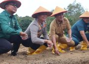 Kapolresta Tanjungpinang Bareng Forkopimda Ikut Swasembada Pangan Secara Virtual