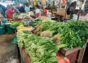 Kondisi Hujan Pengaruhi Stabilisasi Harga Sayur di Tanjungpinang, Sayur Tertentu Naik Signifikan