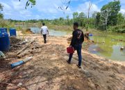 Tambang Pasir Ilegal Bintan Rusak Ratusan Hektar Daratan dan Ancam Kepunahan Lingkungan