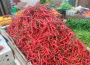 Harga Cabai Merah dan Nano Meroket, Tembus Angka Rp105 Ribu per Kilogram