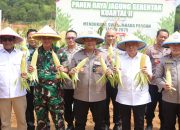 Dukung Ketahanan Pangan, Polda Kepri Panen Raya Jagung Kuartal II 2025