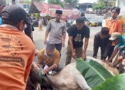 Polresta Tanjungpinang Sembelih 6 Ekor Sapi Kurban Idul Adha 1446 H