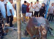 Wali Kota Lis Sembelih Langsung Sapi Kurban Bantuan Presiden Prabowo