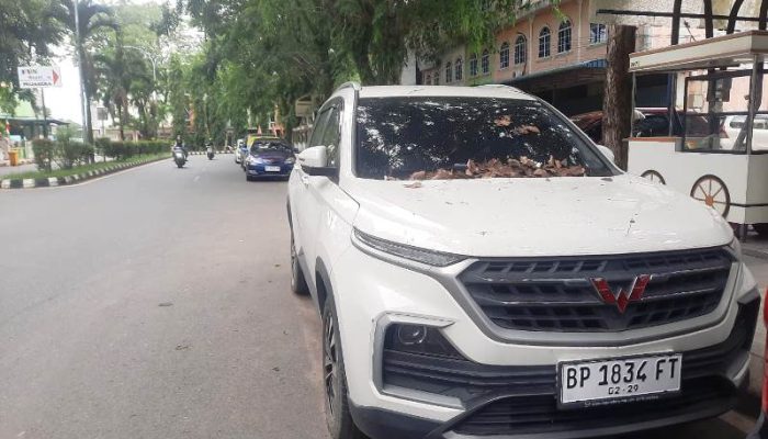 Wuling Almaz Teronggok di Street Food Bintan Center, Diduga Pakai Plat Nomor Palsu